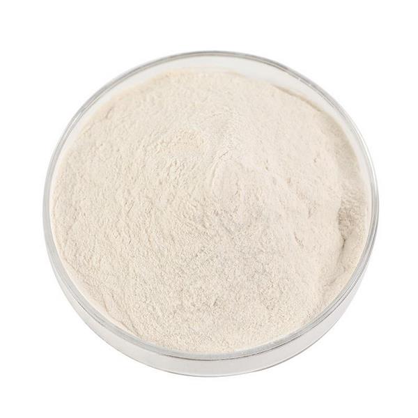 Купить Агар Агар Dolce кондитерский для желе, торта, варенья, крема, зефира, конфитюра, клубники, мармелада, крема, джема, смородины, ягод, грибов, украшения торта и др. - низкие цены с доставкой Агар Агар Dolce кондитерский для желе, торта, варенья, крема, зефира, конфитюра, украшения торта и др.